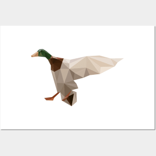 Mallard Duck Posters and Art